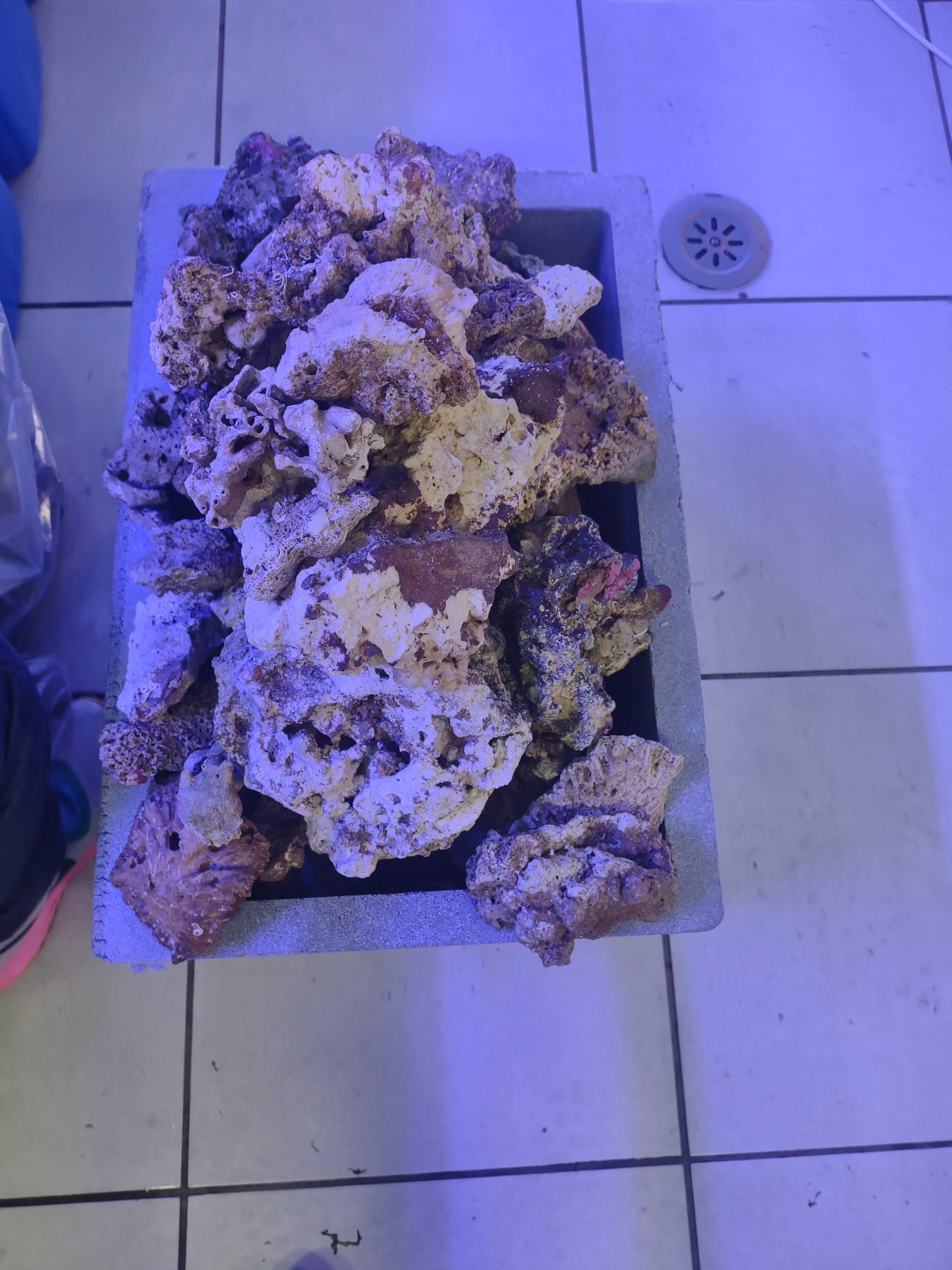 Rocce vive Bali Premium 20Kg