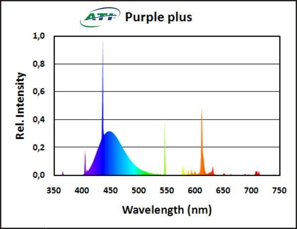 ATI Purple plus 80W