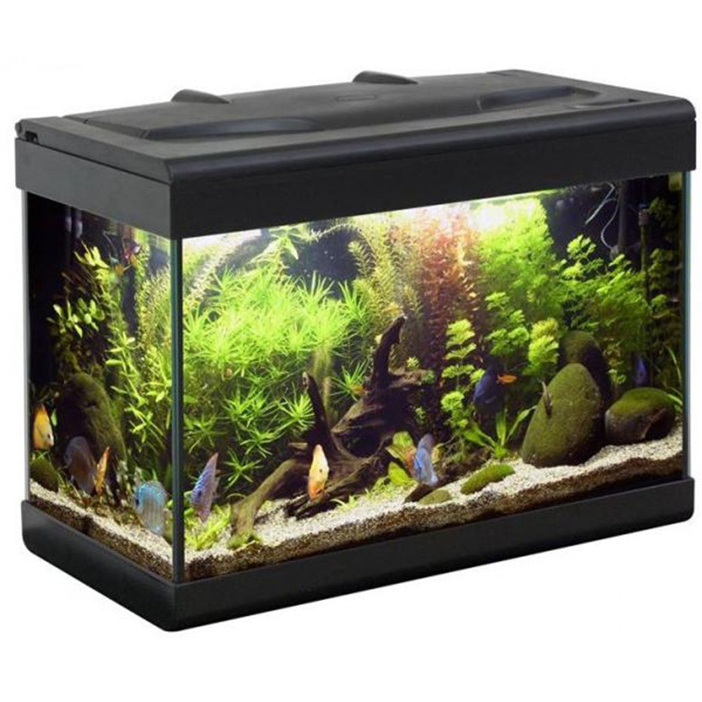 MTB Acquario Aloha 60x30