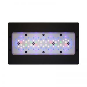 ECOTECH MARINE Radion Xr30 G6 blue