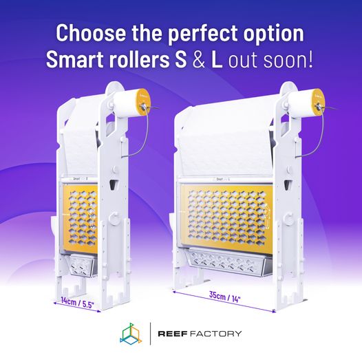 REEF FACTORY Smart roller S