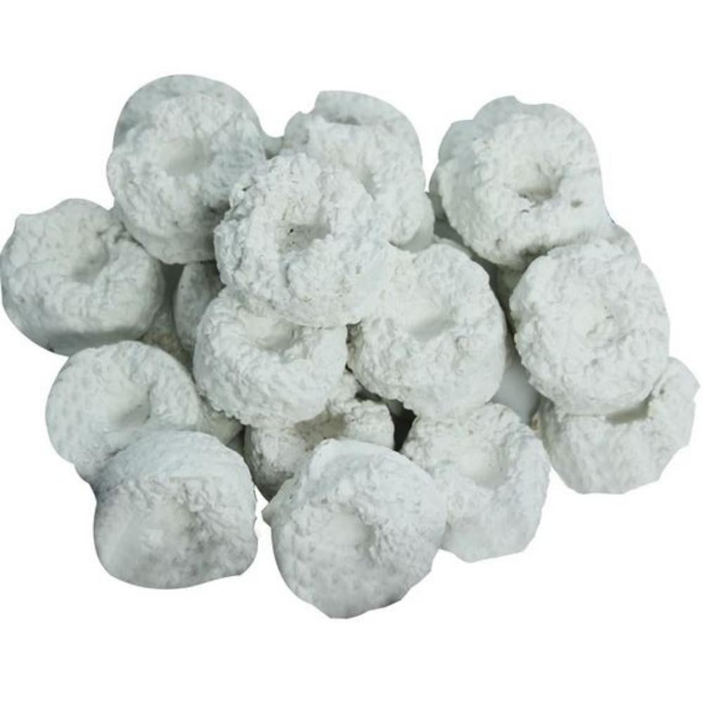 KORALLEN ZUCHT Frag stones 20 pz