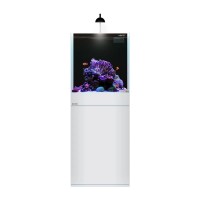 AQPET Acquario Kubic 40 con supporto adibito per acqua dolce