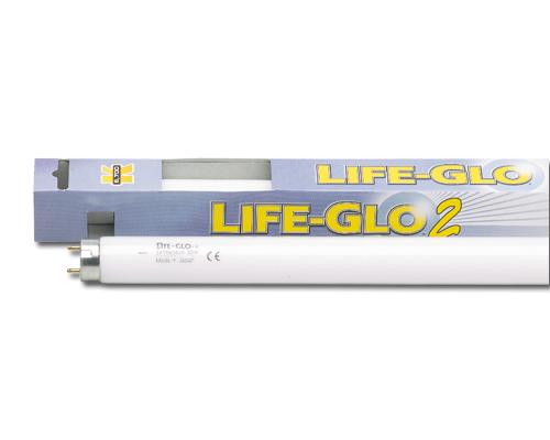 Life glo 2 14W 6700K