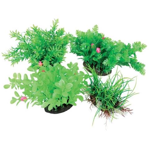 Aereoplant con diffusore color L