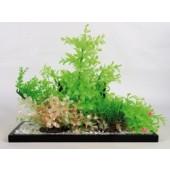 Composizione aeroplant S