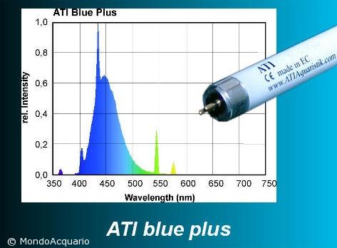 ATI Blue plus 24W
