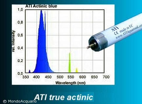 ATI Actinic 54W