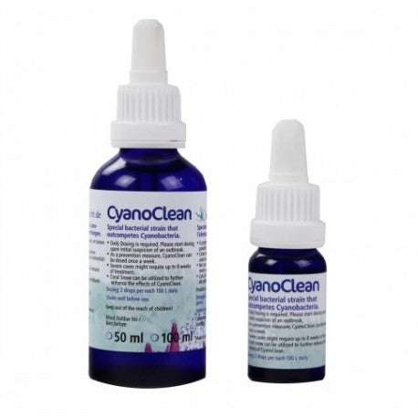KORALLEN ZUCKT Cyano clean 10ml