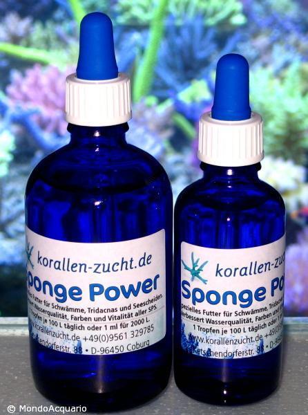 KORALLEN ZUCKT Sponge power 10ml