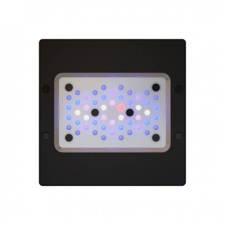 ECOTECH MARINE XR15 blue G6