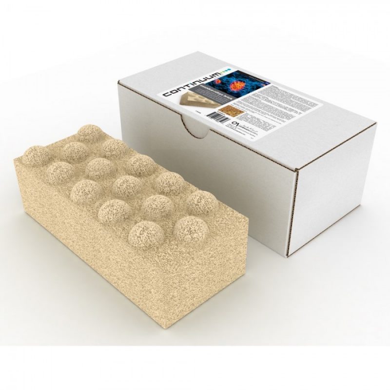 CONTINUUM Exxodus bac brick