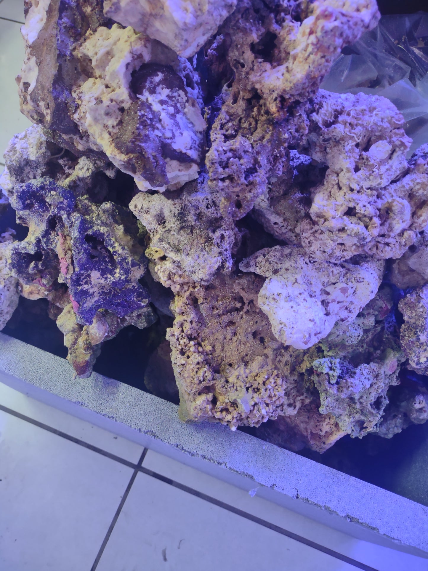 Rocce vive Bali  Premium 10 kg