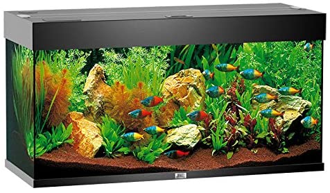 JUWEL Acquario Rio 350-nero 120x50cm led