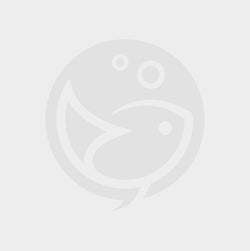 AQUARISTICA Neon T5 AQ HILITE Actinic plus 80w