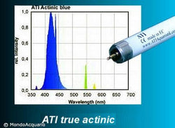 ATI Actinic 80W