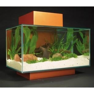 ASKOLL  Edge 23lt a led nero