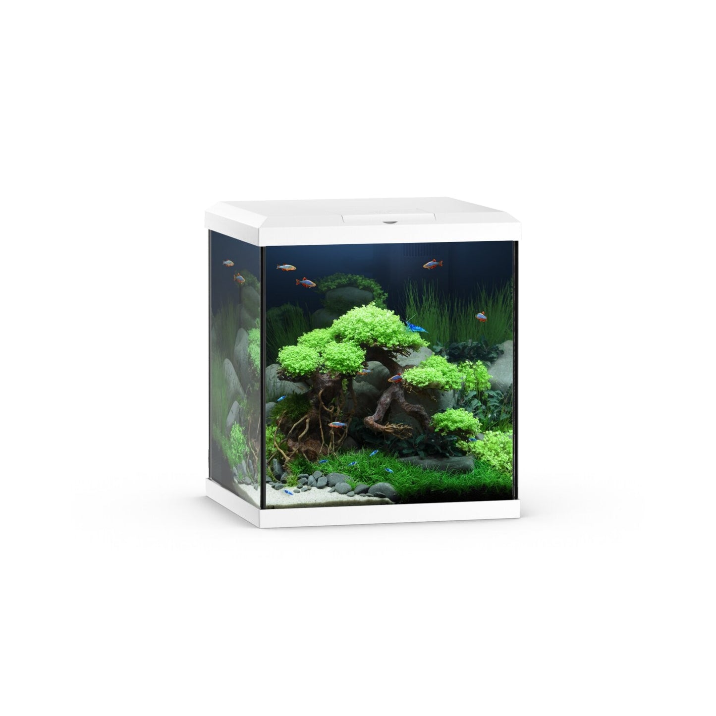 JUWEL Vio cube 54 lt bianco