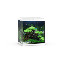 JUWEL Vio cube 54 lt bianco