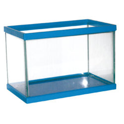 Azzurra acquario 50cm