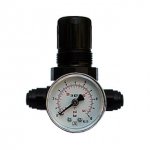 FORWATER Regolatore di pressione con manometro
