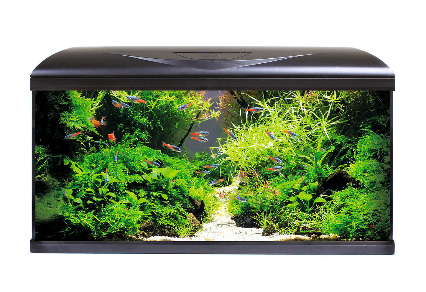 AMTRA  System led black combi