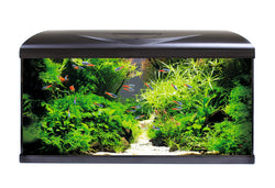 AMTRA  System led black combi