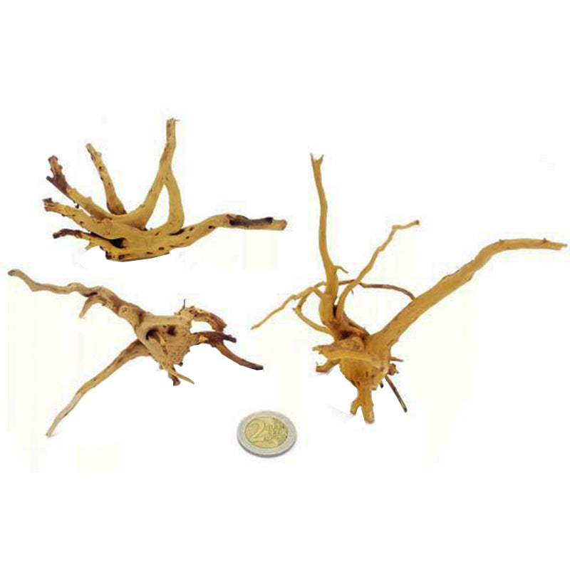 WHIMAR Decor spider wood  5/10 cm small