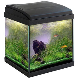 Acquario MIlo  30 cubik nero