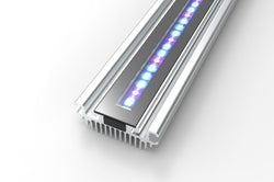 GNC Barra silvermoon 438 actinic