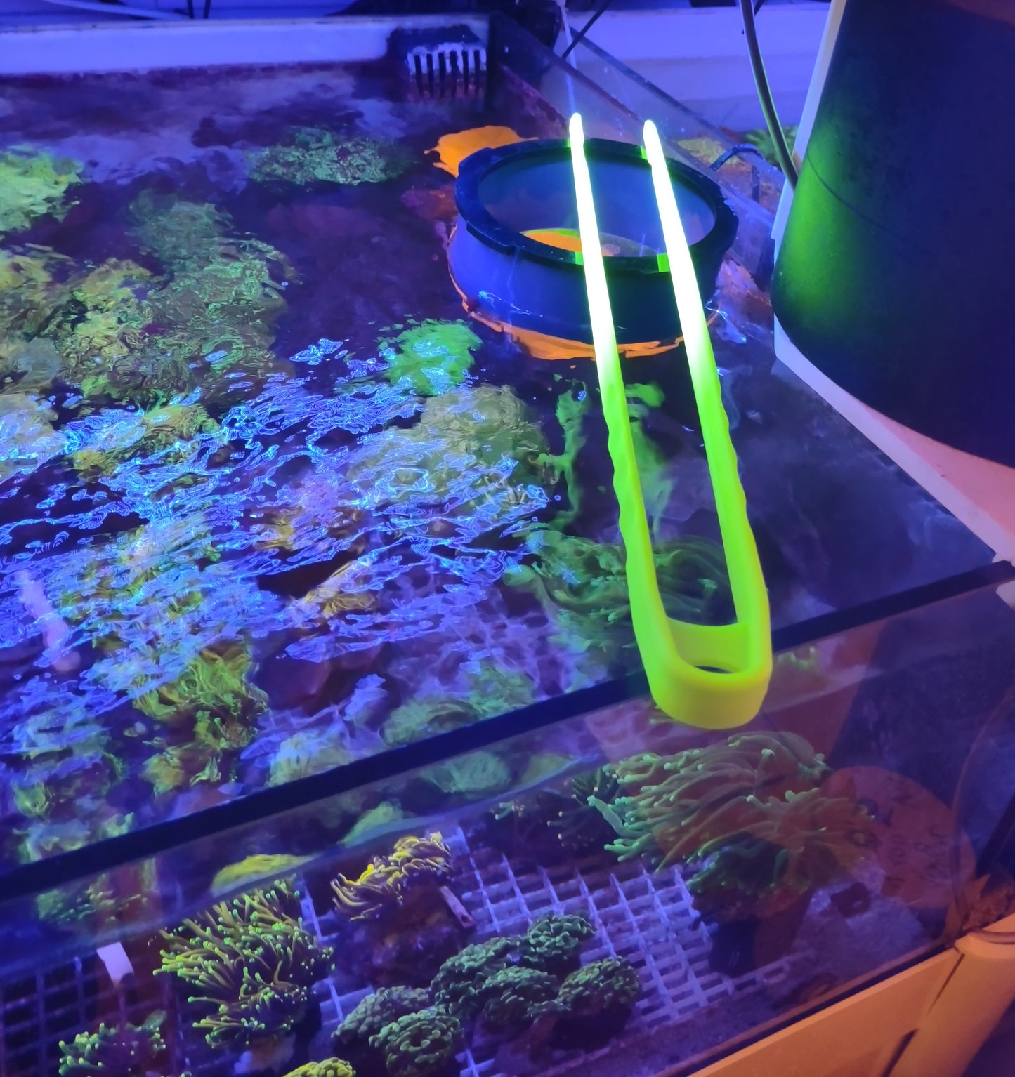 Pinza UV reactiv  verde fluo