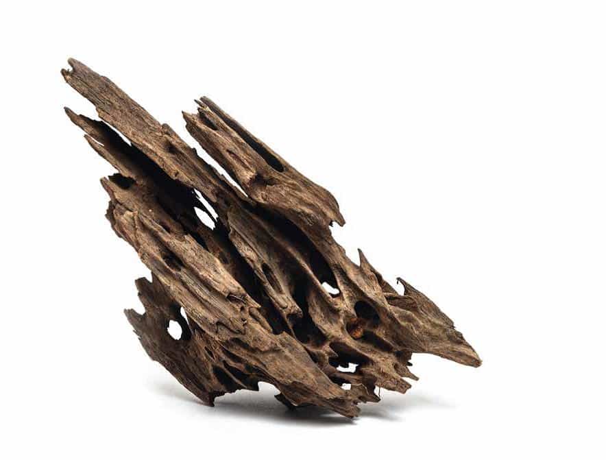 WHIMAR Aquascaping wood dragon mangrovia S 10-20 cm