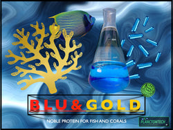 PLANCTONTECH Blu&gold