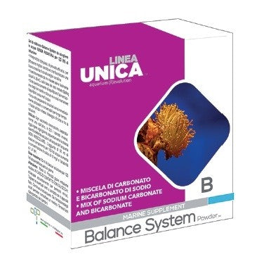 AGP Balance system powder B 1 kg