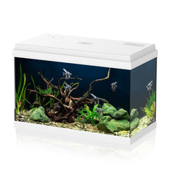 AQPET Simply led 60 bianco acquario