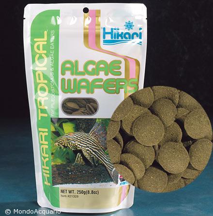 HIKARI   Algae wafers 82 gr