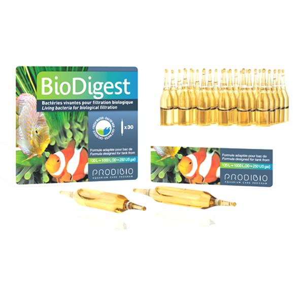 PRODIBIO Bio Digest 30 fiale