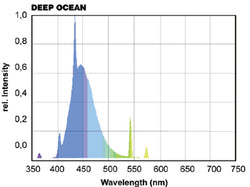 T5 Powerchrome Actinic plus 24 watt
