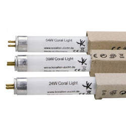 KORALLEN ZUCKT T5 aquablue + 54w