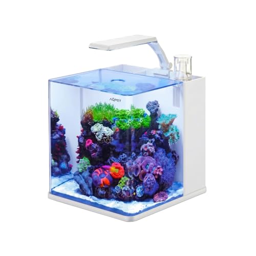 AQPET Qube 25 reef nero