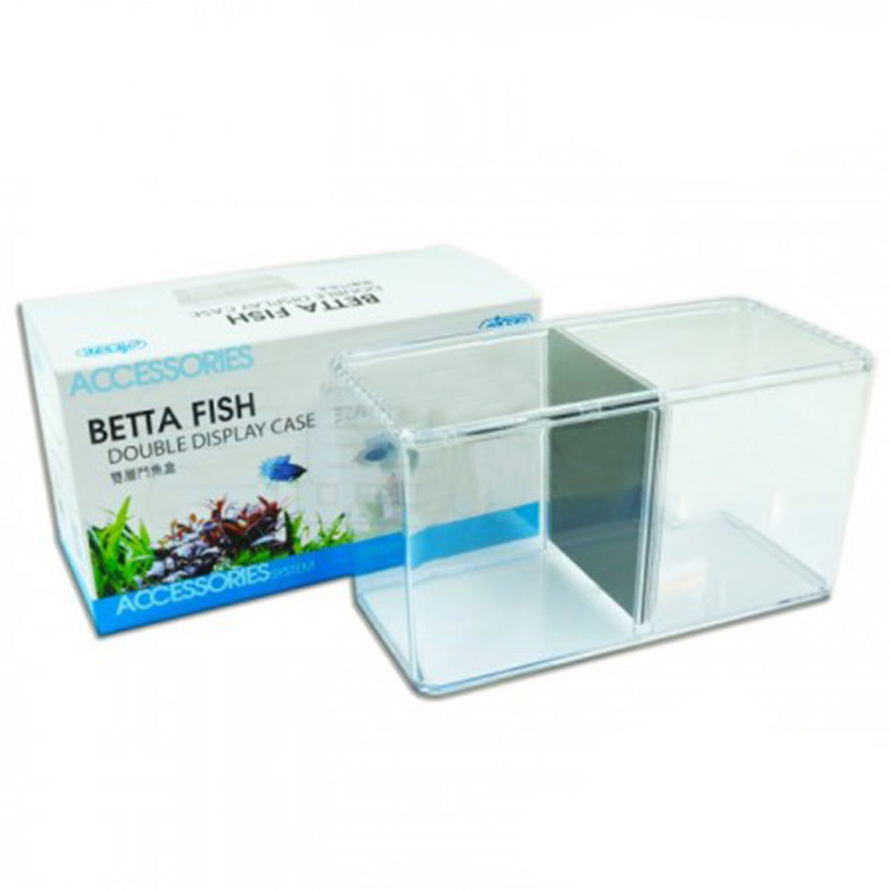 ISTA Betta fish