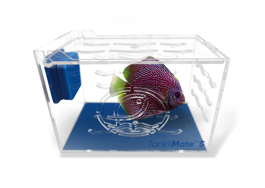 ESHOPPS Tanklimate nano sala parto in acrilico  15x10 cm con supporto magnetico