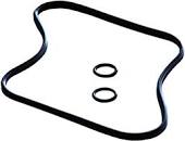 SICCE  Kit o-ring coperchio +2 o-ring in-out- whale 120-200