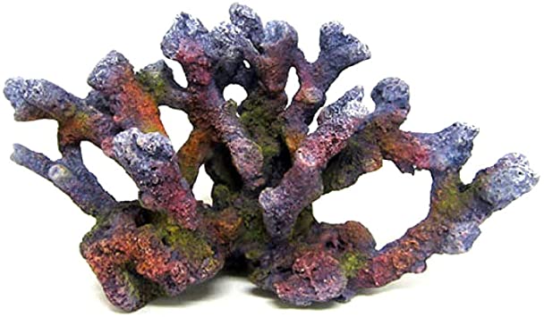 Reef rock branch SM2