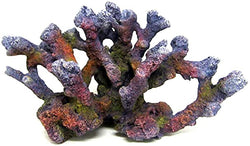 Reef rock branch SM2