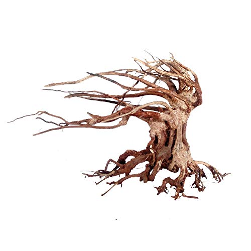 AMTRA Legno oriental wind SM