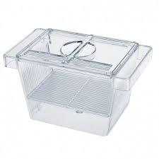INSA Nido guppy