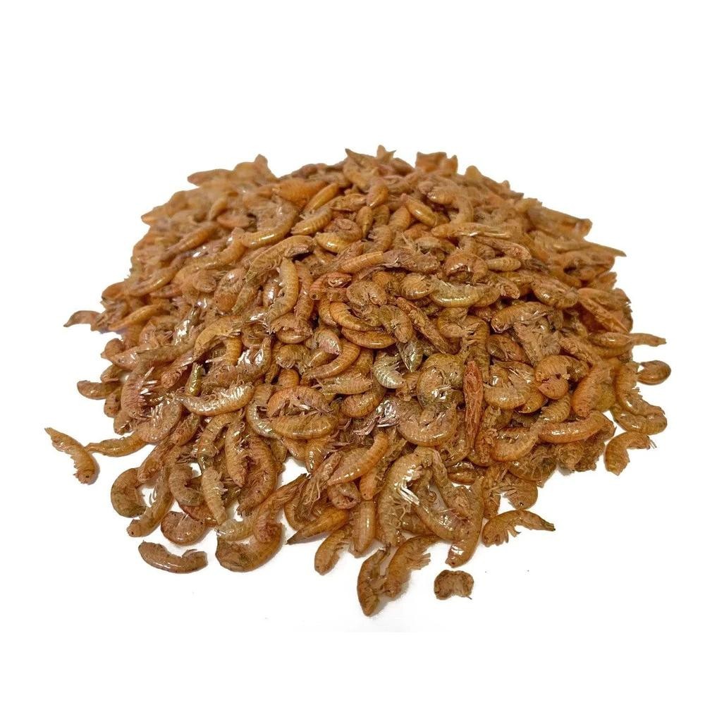 INSA Velma Gammarus 100 ml 10gr