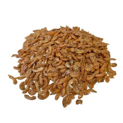 INSA Vilma gammarus 1000 ml  100 gr