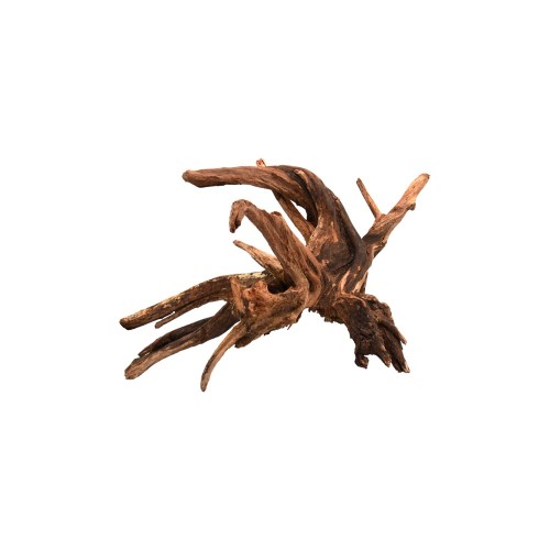 AQPET Tronco drift wood 31-40